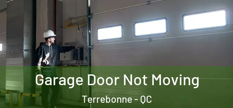  Garage Door Not Moving Terrebonne - QC