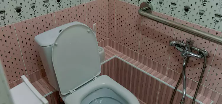 Meeting Diverse Needs With Accessible Restroom Solutions in Terrebonne, QC